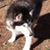 Edward Lawrence's profile image