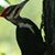 Linda K Williams's profile image