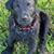 Amy Weiss Sterling's profile image