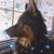 Sandi Steele's profile image