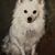 Connie Schweitzer Kilb's profile image