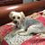 Jean Styron's profile image