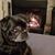 Tabitha Rowell's profile image