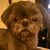 Kristina Wolf's profile image