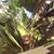 Joanie Soares's profile image