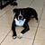 Steve Luna's profile image