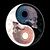 Vincent A. Kessler's profile image
