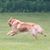 Pamela Kavlick's profile image