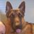 Debbie Acker's profile image