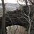 Tammy Roper Chaffin's profile image