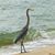 Cindy Marzen Hainchek's profile image