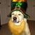 Robert Utley's profile image