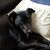 Candace Cipollina Anderson's profile image