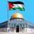 Dina Assi's profile image