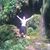 Richard Herold's profile image