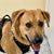 Sharon E. Jones's profile image
