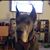 Melodee Hudson Mahar's profile image