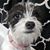 Barbara Scheeler's profile image