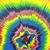 Brian Schumacher's profile image
