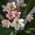 Jean Payton Hudson's profile image