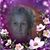 Barbara Runnels's profile image