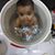 Saurabh Goyal's profile image