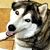 Kim Fose's profile image