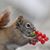 Jackie Holt's profile image