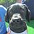 Michelle Bartelme Masciarelli's profile image