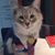 Rebecca Bram Ordinario's profile image