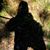 Dale Vidmar's profile image