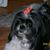 Diane Giacobozzi Norway's profile image