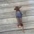 Craig McWilliams's profile image