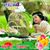 Golam Kabir's profile image