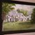 Sandi Becker's profile image
