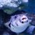 Takako Cowell's profile image