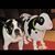 Gretchin Geyer Clifton's profile image