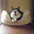 Katie Lee's profile image