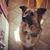Lorene Alba's profile image