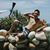 Hung Chino Huynh's profile image