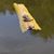 Mara Carreiro's profile image