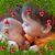 Lisa Northrup Stratton's profile image