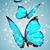 Brenda Griego's profile image