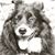 Renee Shedlowski's profile image