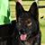 Debra A. Tapp's profile image