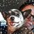 Jennifer Werra's profile image