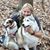 Diane Coletti's profile image