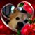 Patricia Scovil's profile image