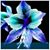 Jami-Bill Lowe's profile image