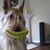 Amanda Atkins's profile image